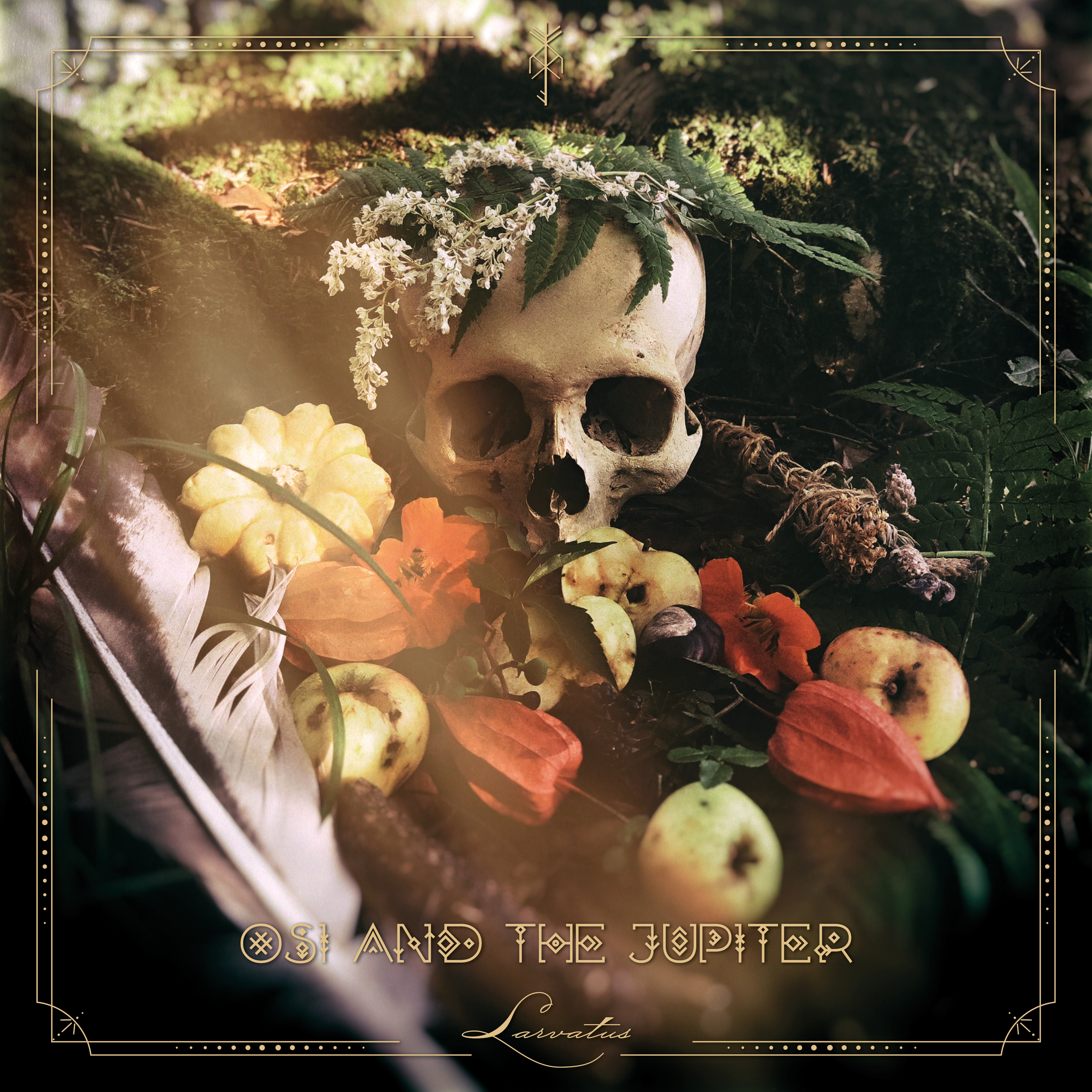 Rainbows in the Dark: Osi and the Jupiter — Larvatus