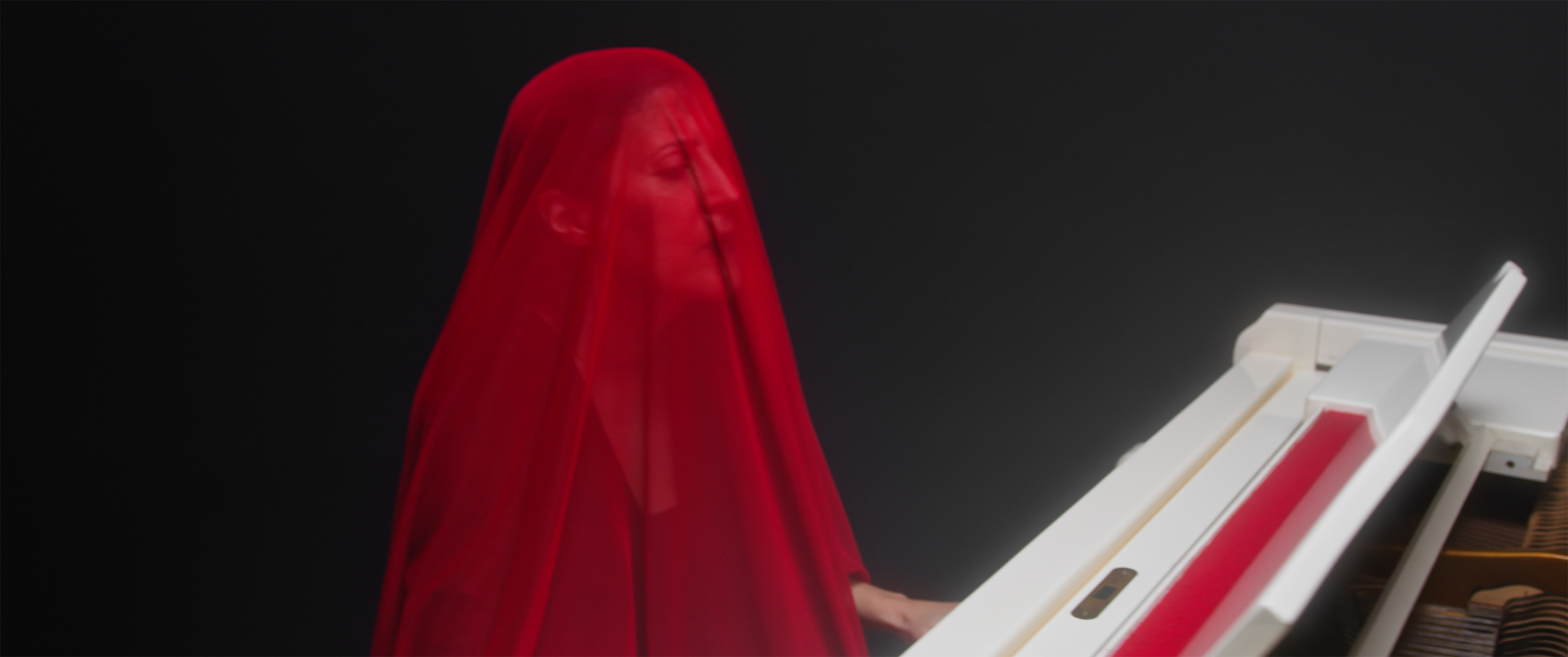 Profile: Multi-instrumentalist Leila Abdul-Rauf